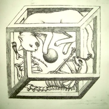 Gato de Schrödinger